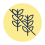 grain-free_2.png