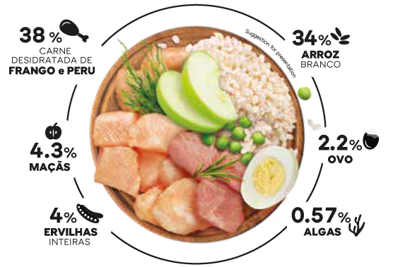 FT-PT-SELECT-ADULT-MEDIUM-CHICKEN-AND-RICE--.png